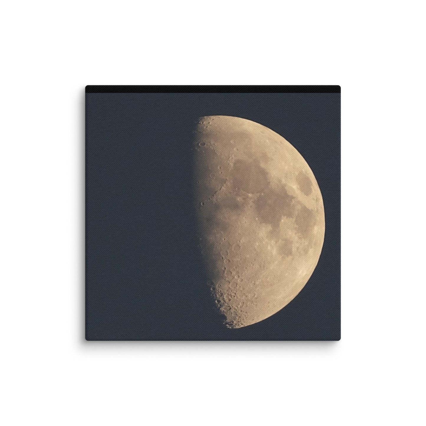 Moon by Belita Canvas