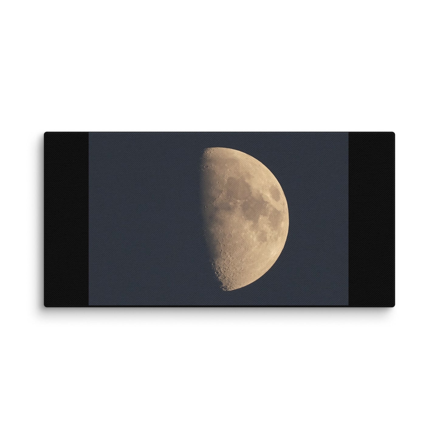 Moon by Belita Canvas