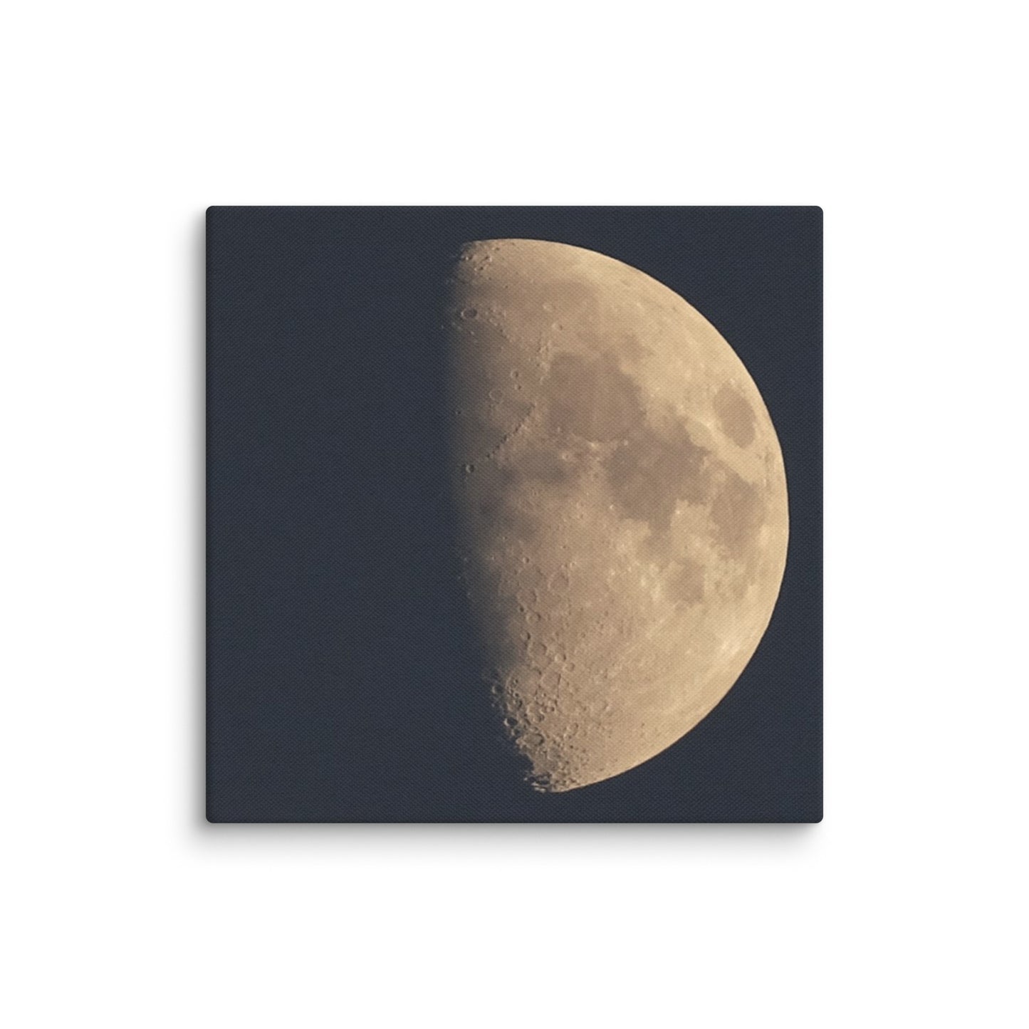 Moon by Belita Canvas