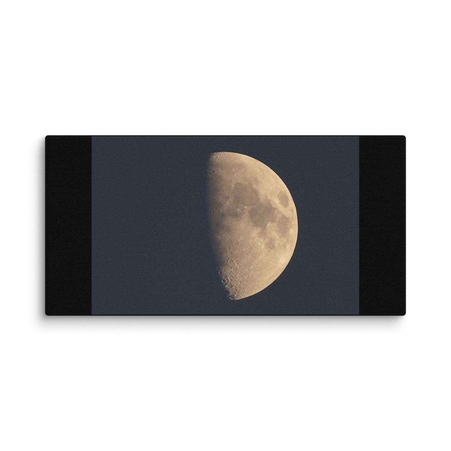 Moon by Belita Canvas