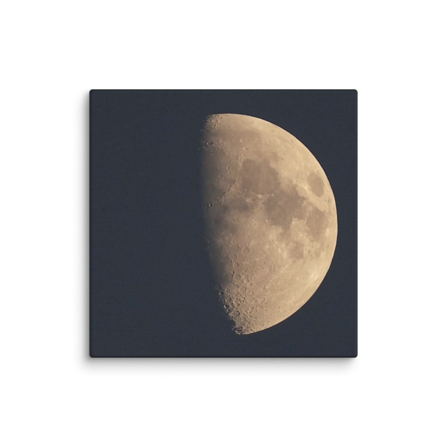 Moon by Belita Canvas