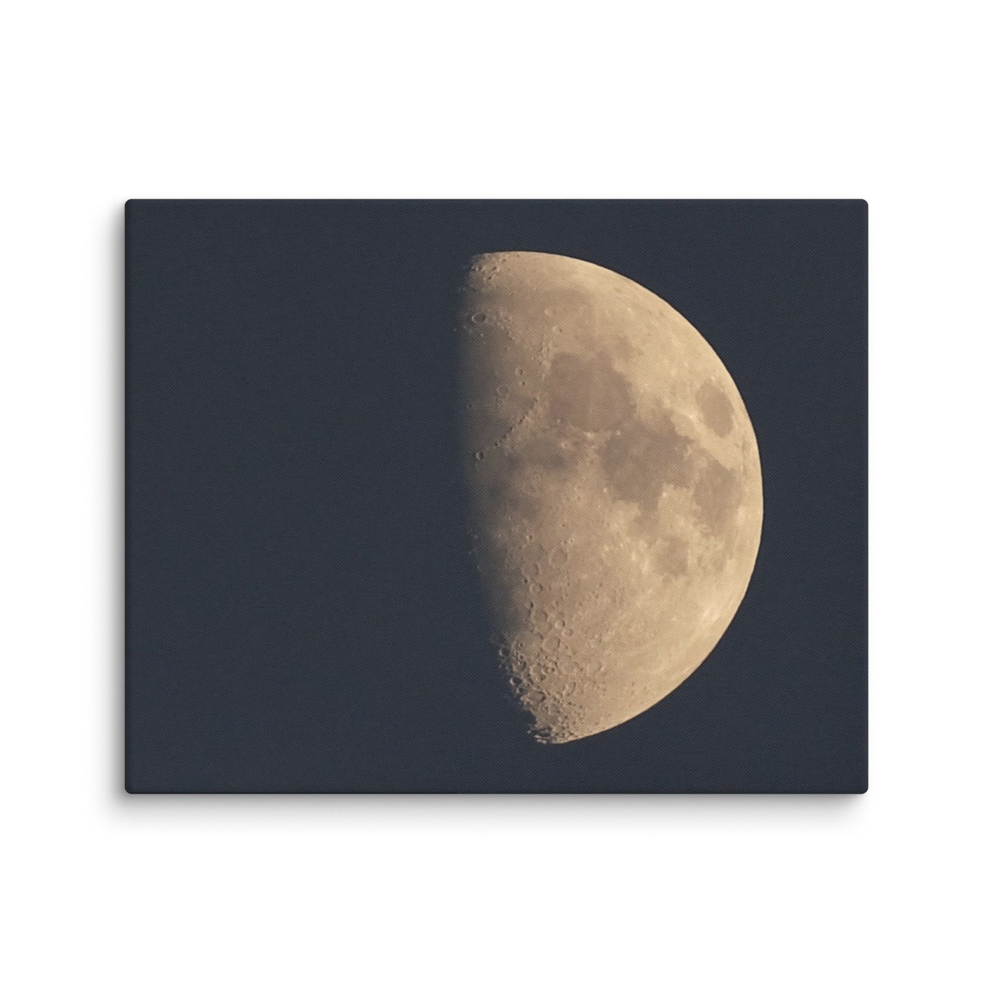 Moon by Belita Canvas