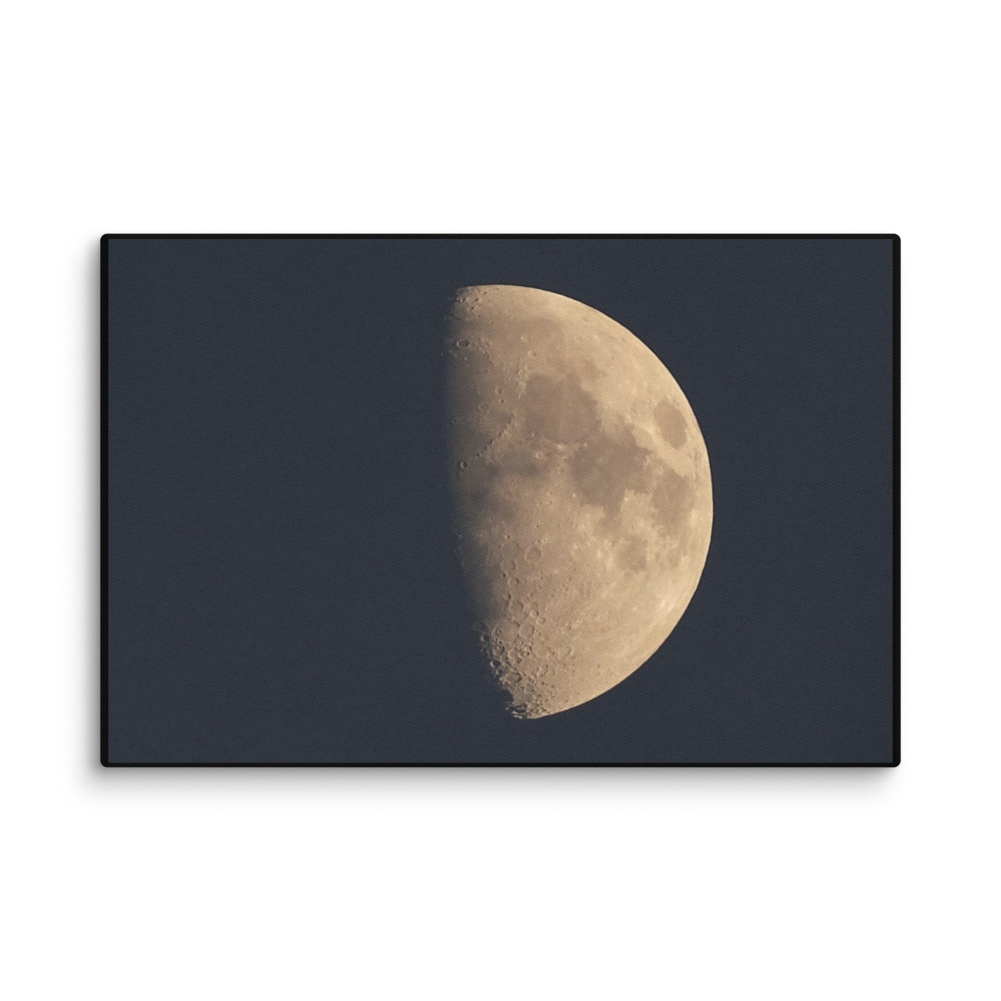 Moon by Belita Canvas