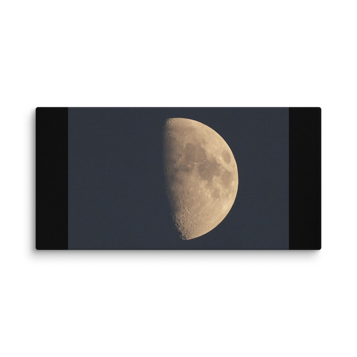 Moon by Belita Canvas