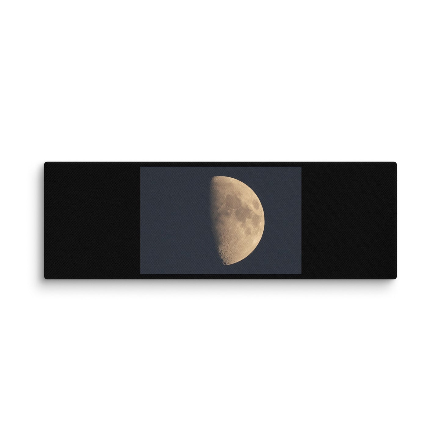 Moon by Belita Canvas