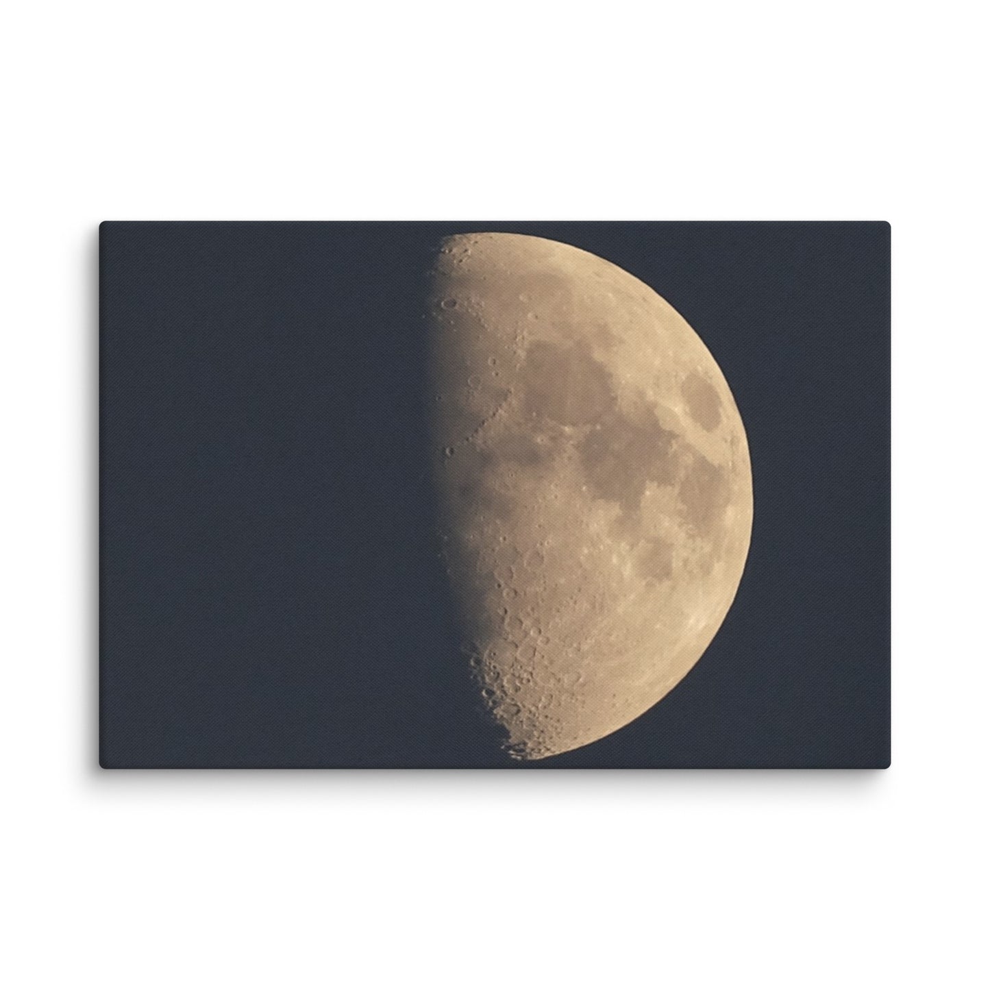 Moon by Belita Canvas