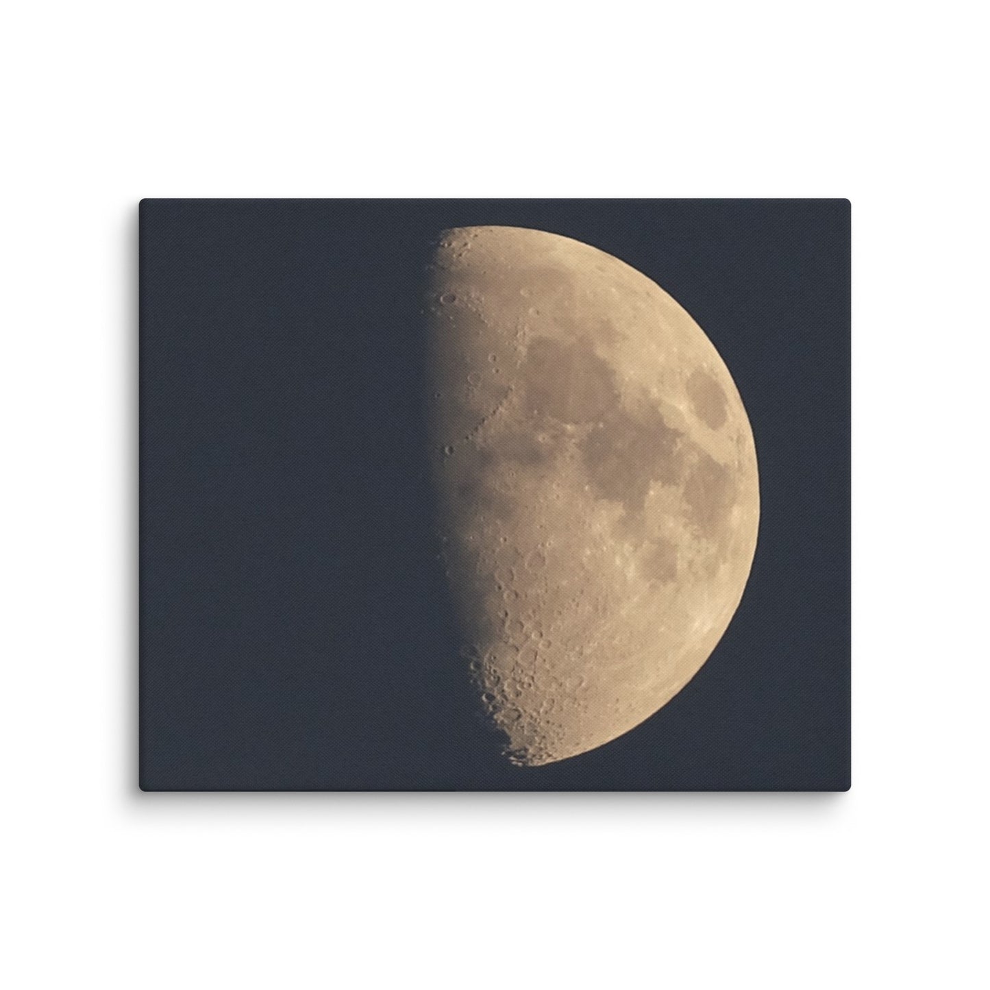 Moon by Belita Canvas