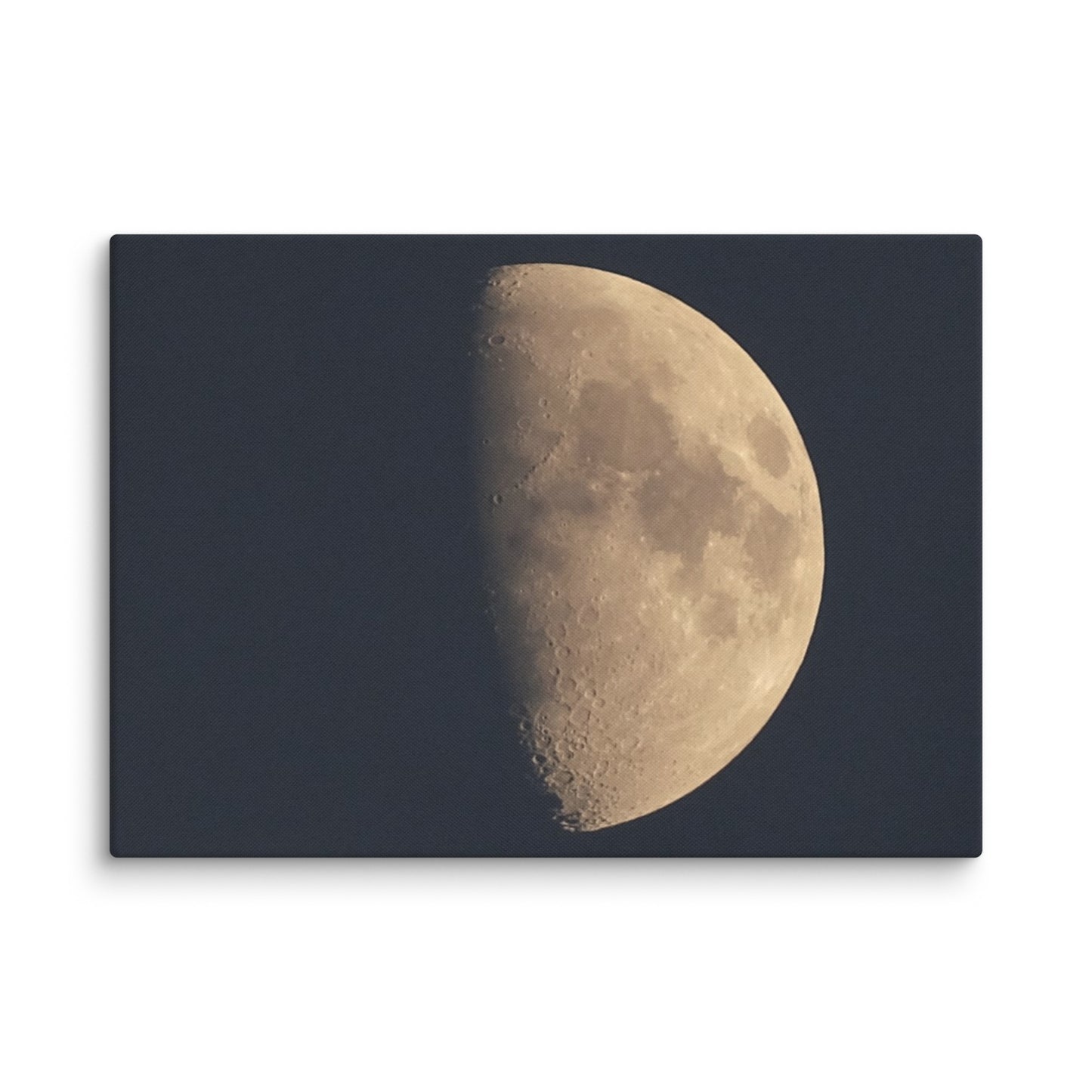 Moon by Belita Canvas