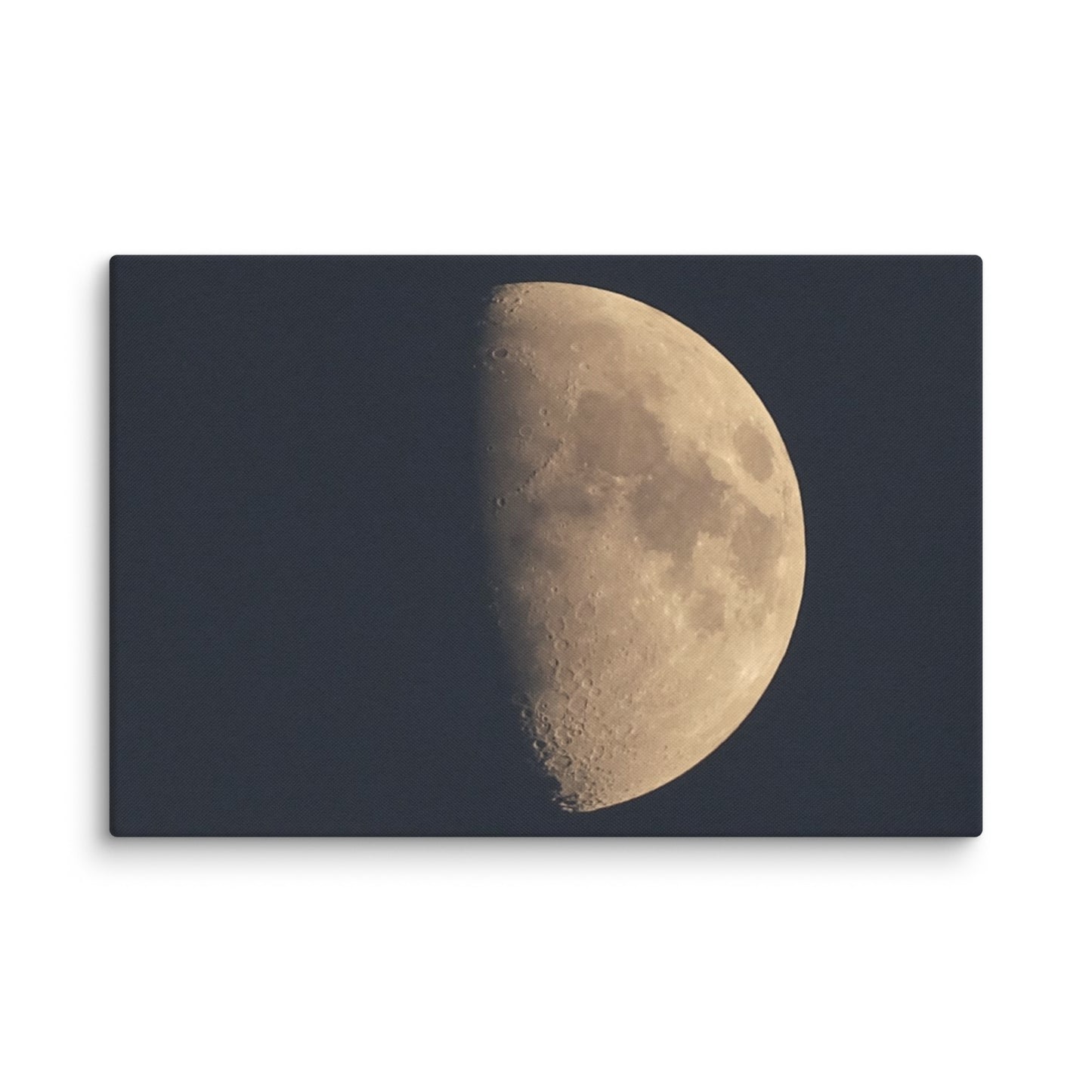 Moon by Belita Canvas