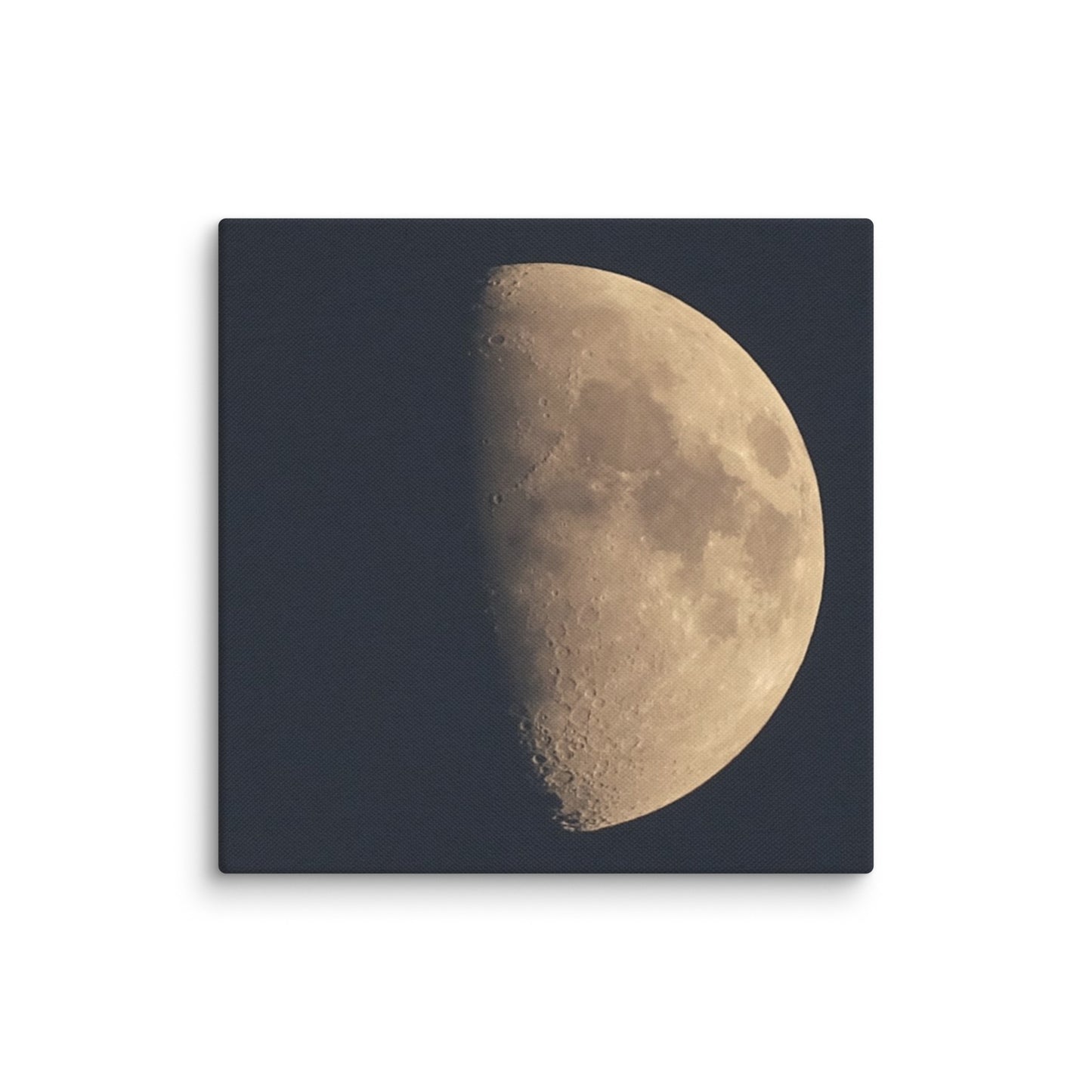 Moon by Belita Canvas