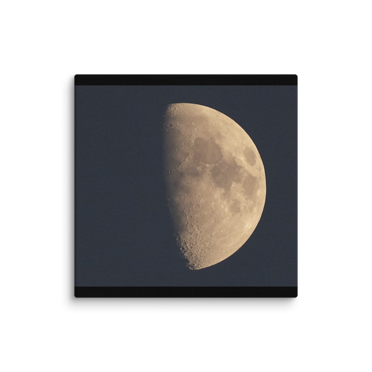 Moon by Belita Canvas