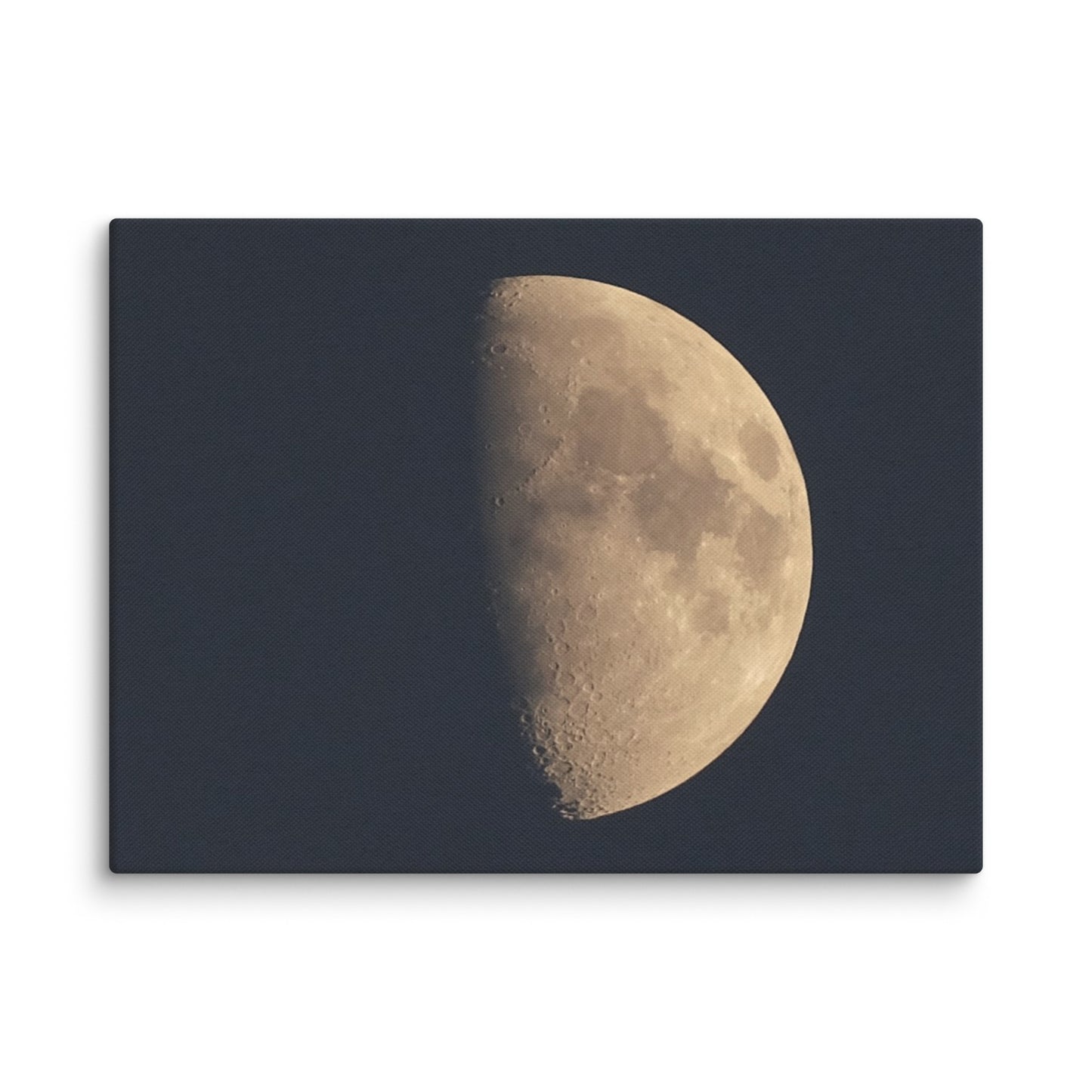 Moon by Belita Canvas