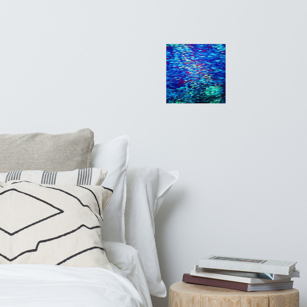 Fish Multicolor blue Poster