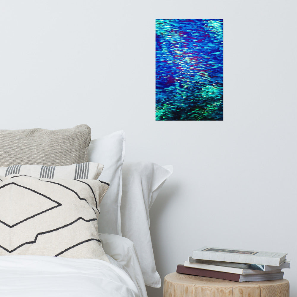 Fish Multicolor blue Poster